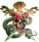 Skull swords cobra vintage t-shirt iron-on